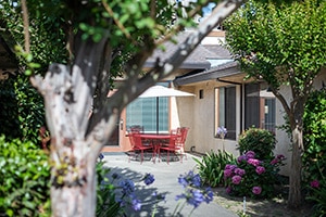 Courtyard back patio and trees